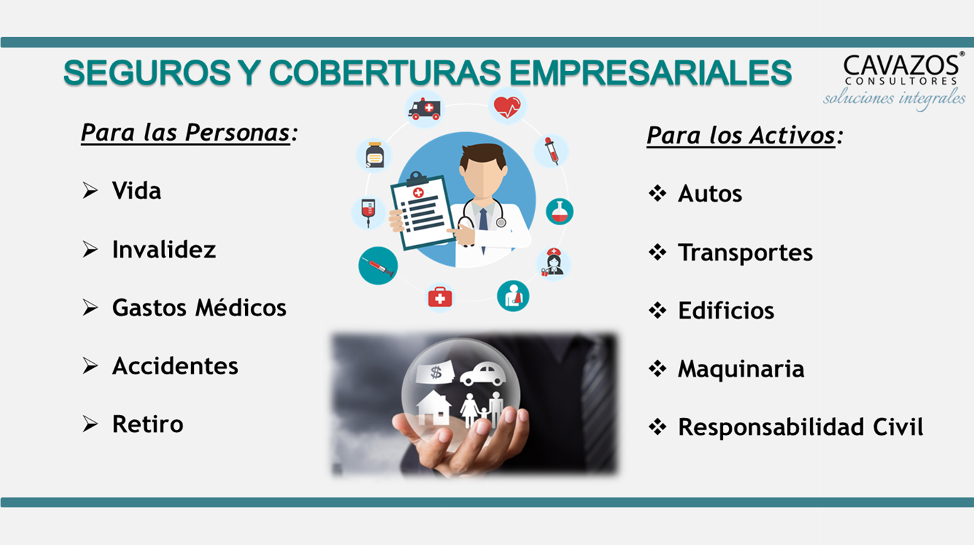 SEGUROS 1